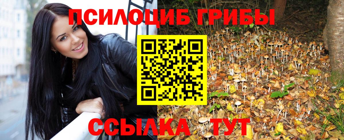 Благодарный  Галлюциногенные грибы Cubensis  Вход с VPN 